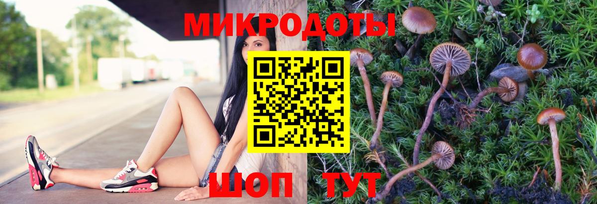 Галлюциногенные грибы Psilocybine cubensis Новоуральск