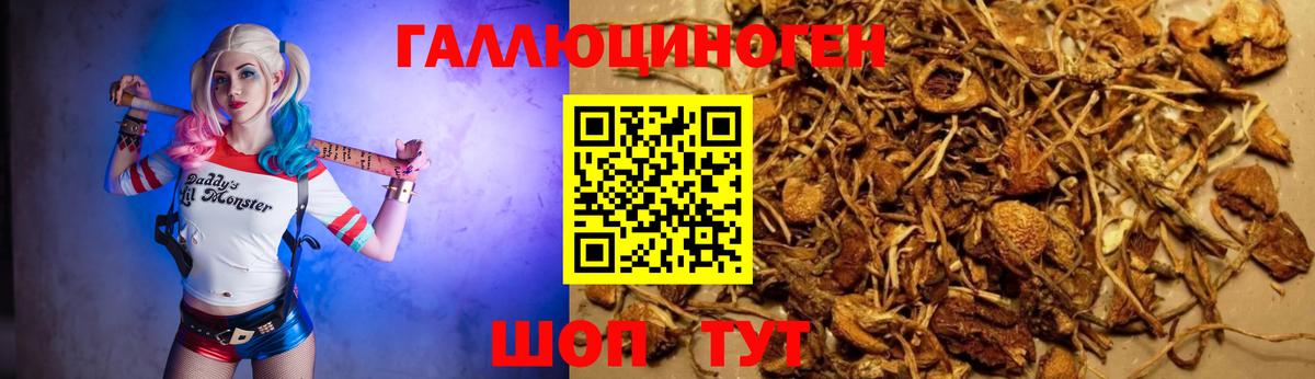 Галлюциногенные грибы мицелий  купить  сайты  Галлюциногенные грибы Cubensis  Новоуральск  Вход с VPN 